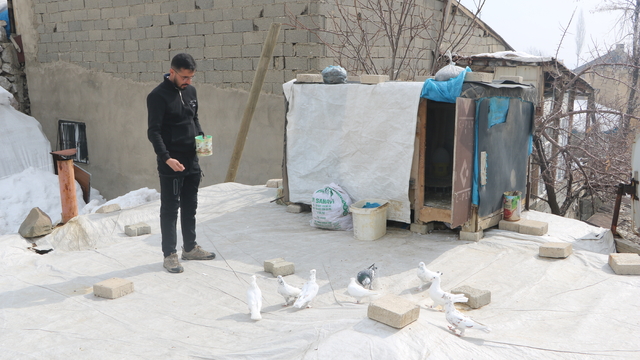 Evinin damında 3 ırktan 50 güvercin besliyor