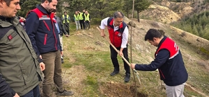 Afyonkarahisar'da 2 bin kestane fidanı toprakla buluşturuldu