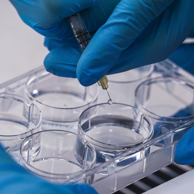 İzmir'de geliştirilen "yara örtüsü" kronik yaralar için umut olacak