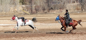 Bayburt'un kurtuluşunun 108'inci yılında cirit gösterisi düzenlendi