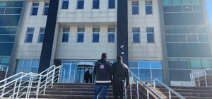 Kars'ta göçmen kaçakçılığı operasyonu: 1 tutuklama