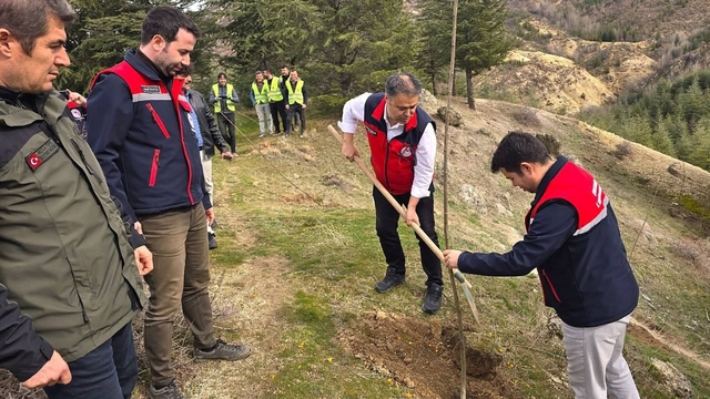 Afyonkarahisar'da 2 bin kestane fidanı toprakla buluşturuldu