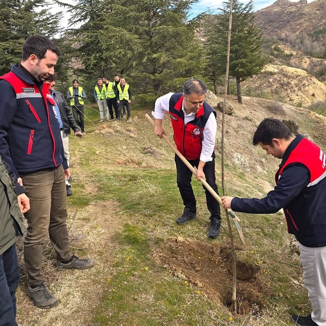Afyonkarahisar'da 2 bin kestane fidanı toprakla buluşturuldu