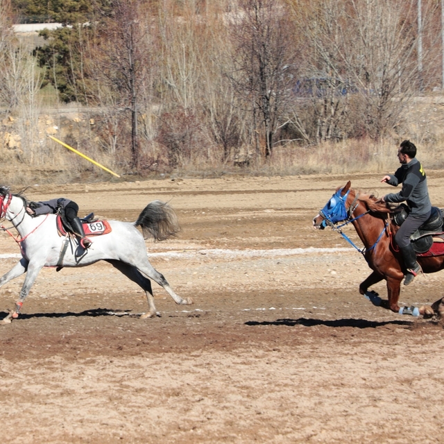 Bayburt'un kurtuluşunun 108'inci yılında cirit gösterisi düzenlendi