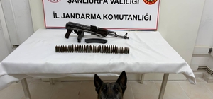 Şanlıurfa'da uzun namlulu silah ele geçirildi: 1 gözaltı