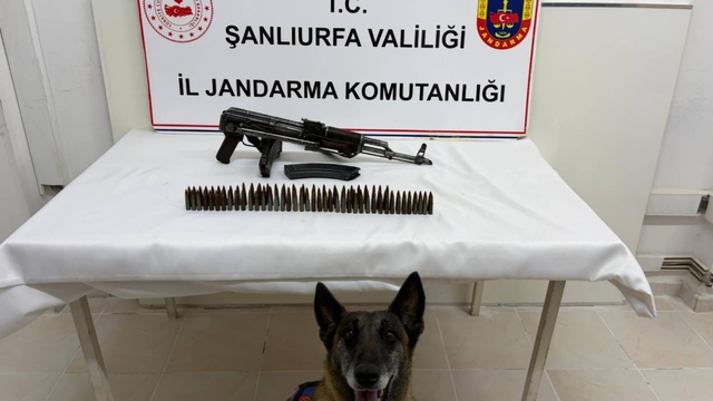Şanlıurfa'da uzun namlulu silah ele geçirildi: 1 gözaltı
