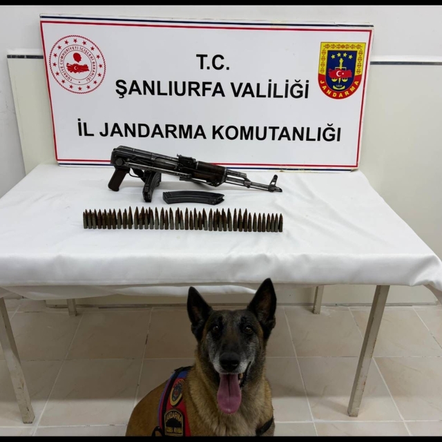 Şanlıurfa'da uzun namlulu silah ele geçirildi: 1 gözaltı