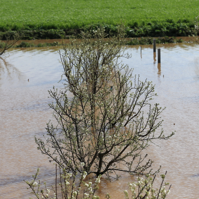 Manisa'da sağanak ve fırtınanın ardından hasar tespit çalışmaları sürüyor