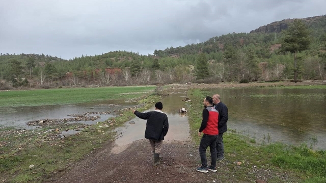 Menteşe'de sağanak yağışların ardından tarım arazilerinde hasar tespit çalışmaları başladı