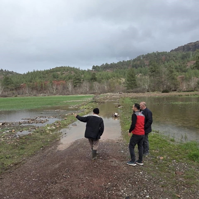 Menteşe'de sağanak yağışların ardından tarım arazilerinde hasar tespit çalı...