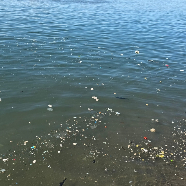 Zonguldak sahilinde çöp tepkisi