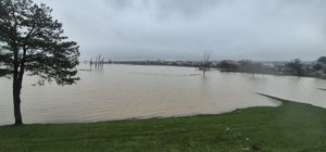 Meriç Nehri'nden taşan sular yaşam alanlarına kadar ulaştı