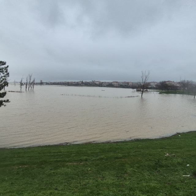 Meriç Nehri'nden taşan sular yaşam alanlarına kadar ulaştı