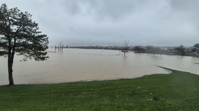 Meriç Nehri'nden taşan sular yaşam alanlarına kadar ulaştı