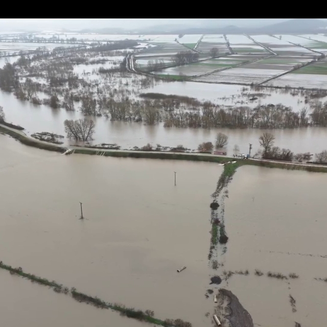 Meriç Nehri taştı, Subaşı'ndaki tarım arazileri sular altında kaldı
