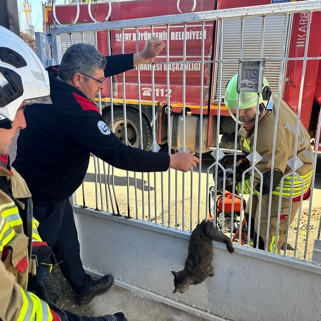 Kapı korkuluğuna sıkışan kediyi itfaiye kurtardı