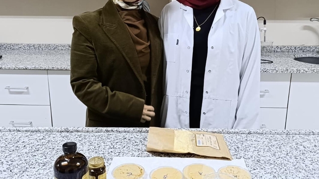 Vegan sporcular için ceviz temelli protein tozu geliştirdiler