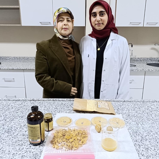 Vegan sporcular için ceviz temelli protein tozu geliştirdiler