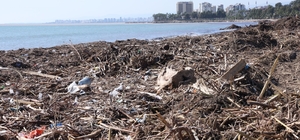 Mersin sahillerinde selin denize taşıdığı balçıklar temizleniyor