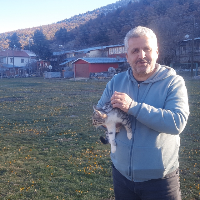 Konya'da aç kalan kediler için 30 kilometre yol gitti