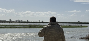 Seyhan Nehri taştı, Tarsus'ta tarım arazileri sular altında kaldı
Taşkın ne...
