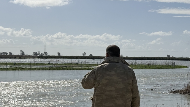 Seyhan Nehri taştı, Tarsus'ta tarım arazileri sular altında kaldı
Taşkın nedeniyle Tarsus- Tuzla yolu kapatıldı
