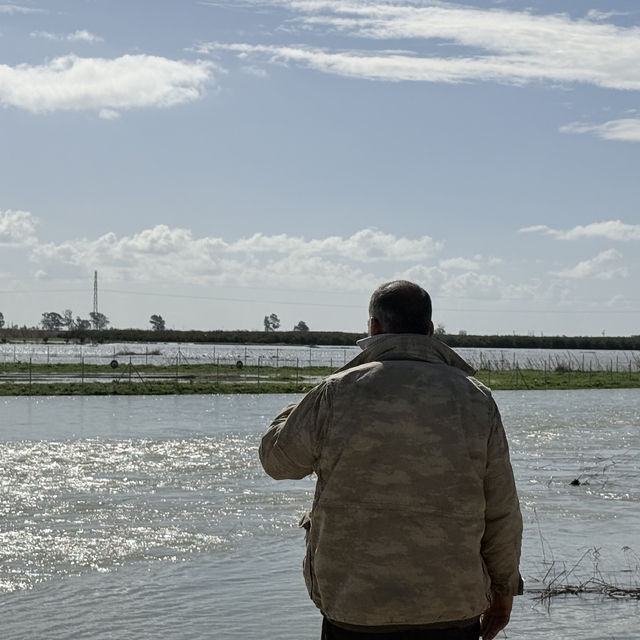 Seyhan Nehri taştı, Tarsus'ta tarım arazileri sular altında kaldı
Taşkın ne...
