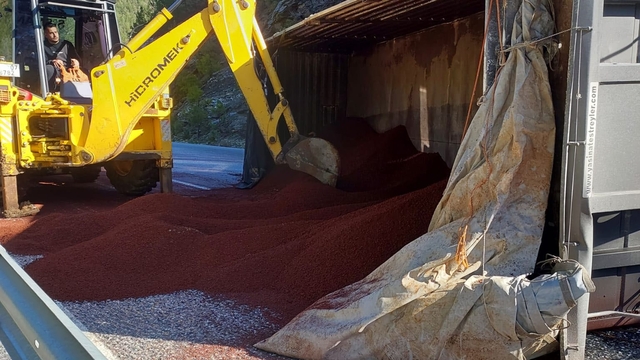 Peyzaj malzemesi yüklü tır devrildi