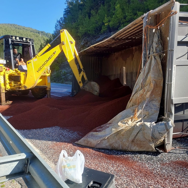 Peyzaj malzemesi yüklü tır devrildi