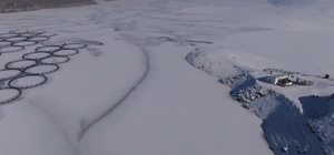 Van'da Sibirya soğukları: Dev barajlar buz tuttu