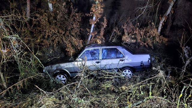 Bilecik'te devrilen otomobilin sürücüsü yaralandı