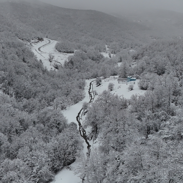 Tekirdağ'da karla kaplanan ormanlar güzel görüntü oluşturdu