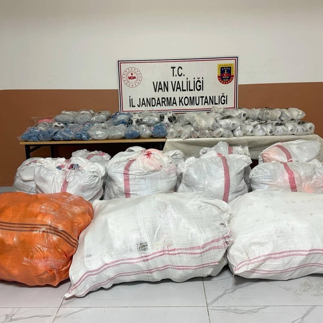Van'da gümrük kaçakçılığı operasyonu