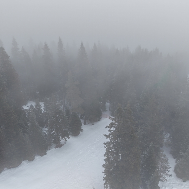 Ilgaz Dağı'nda yoğun sis ve kar yağışı etkili oluyor
