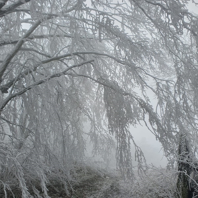Kırklareli'nin yüksek kesimleri beyaza büründü