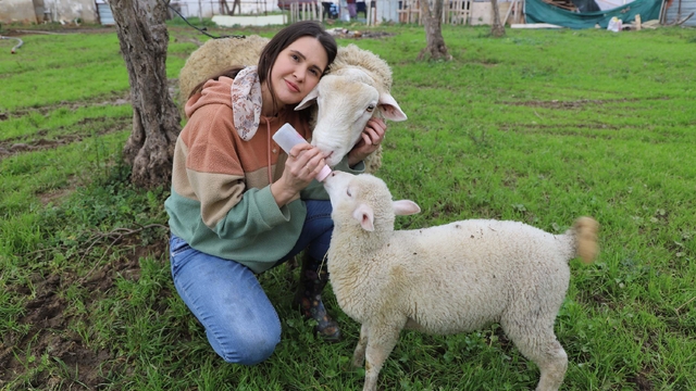 Acil serviste hastalara, çiftlikte hayvanlara şifa dağıtıyor