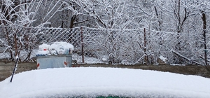 Posof'ta kar sürprizi