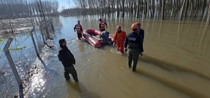 Edirne'de koyunlar botlarla kurtarıldı