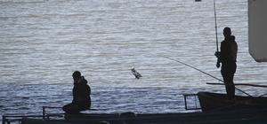 Beyşehir Gölü hafif canlandı, oltalar yeniden tatlı sulara bırakıldı
