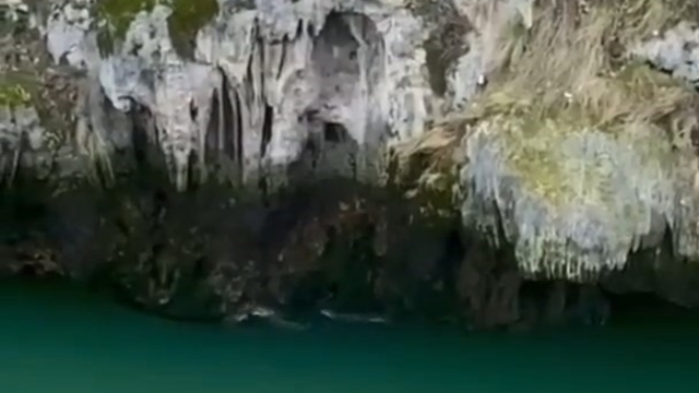 Karakoçan'da su samurları görüntülendi