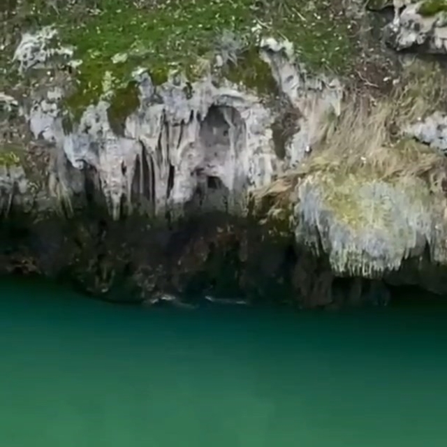 Karakoçan'da su samurları görüntülendi