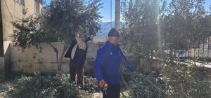 Buharkent'te kursiyerler zeytin ağaçları başında ter döktü