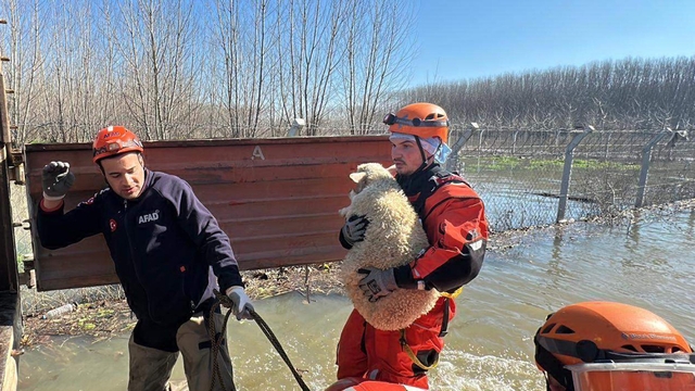 Edirne'de nehirlerin debileri arttı, köprüler trafiğe kapatıldı (2)