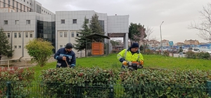 Hastane bahçelerinde budama ve bakım çalışması yapılıyor