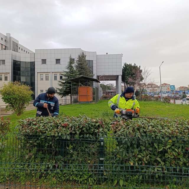 Hastane bahçelerinde budama ve bakım çalışması yapılıyor