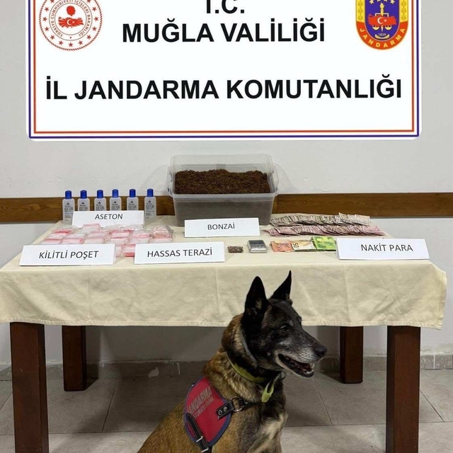 Muğla'da uyuşturucu operasyonlarında 2 zanlı tutuklandı