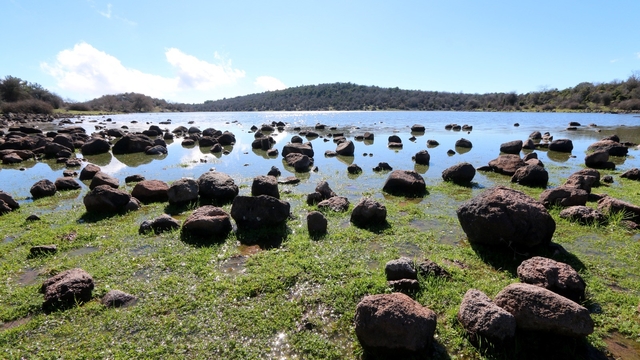 Geçen yıl tamamen kuruyan Tepegöl yeniden su tuttu
Kuraklık nedeniyle kuruyan gölde doğal yaşam yeniden canlandı