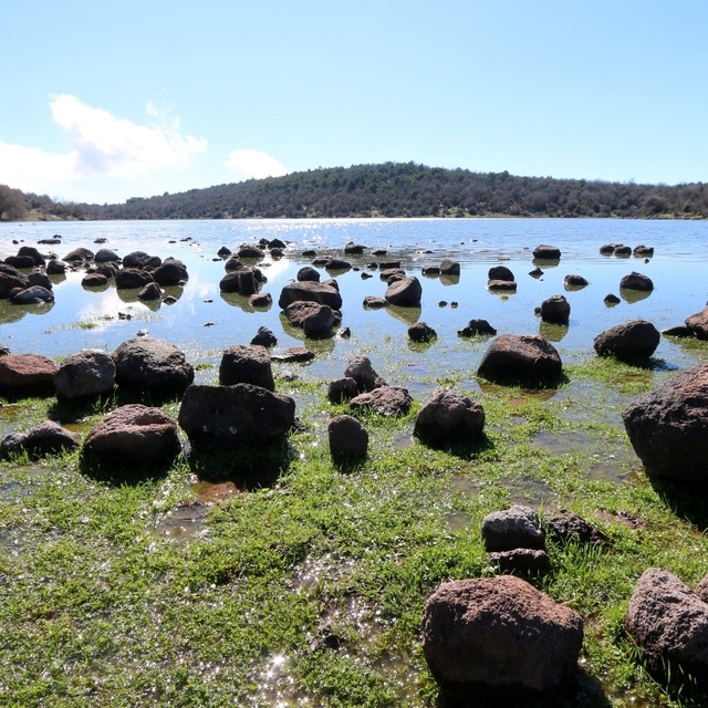 Geçen yıl tamamen kuruyan Tepegöl yeniden su tuttu
Kuraklık nedeniyle kuruy...