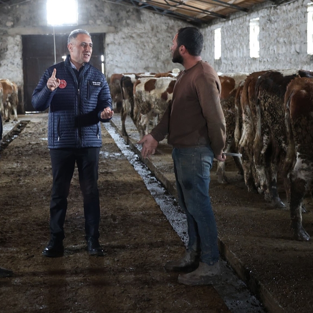 Kars Tarım ve Orman Müdürlüğü sahada: Bayraktar Köyü'nde büyükbaş işletmesi...