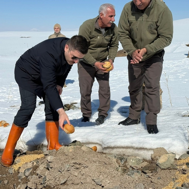 Özalp ilçesinde doğaya yem bırakıldı